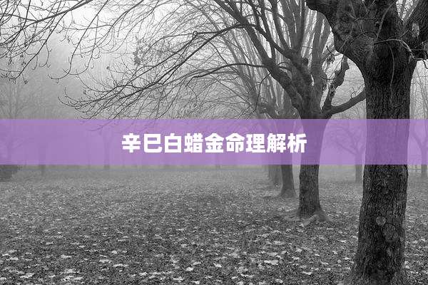 辛巳白蜡金命理解析