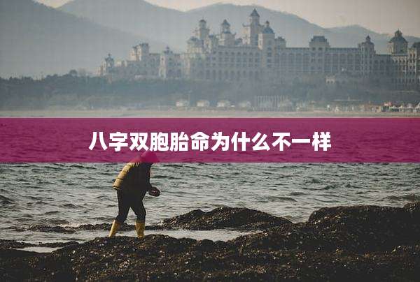 八字双胞胎命为什么不一样