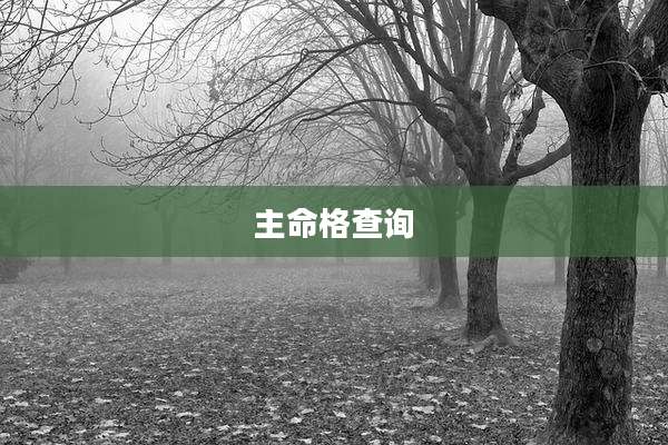 主命格查询
