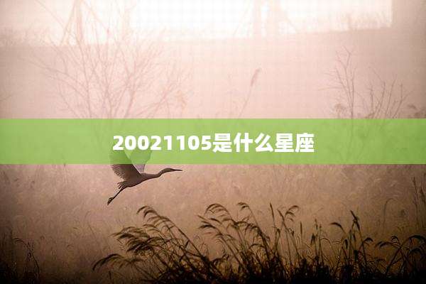 20021105是什么星座
