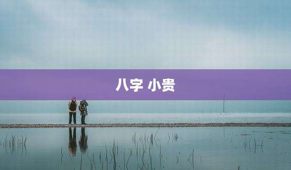 八字 小贵
