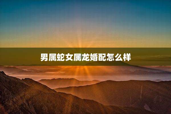 男属蛇女属龙婚配怎么样
