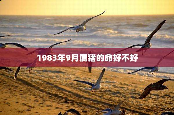 1983年9月属猪的命好不好
