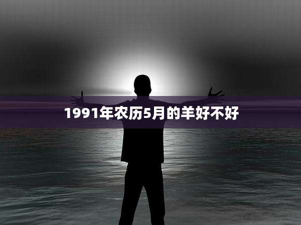 1991年农历5月的羊好不好