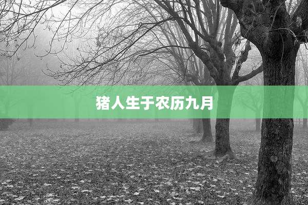 猪人生于农历九月