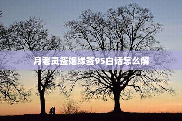 月老灵签姻缘签95白话怎么解