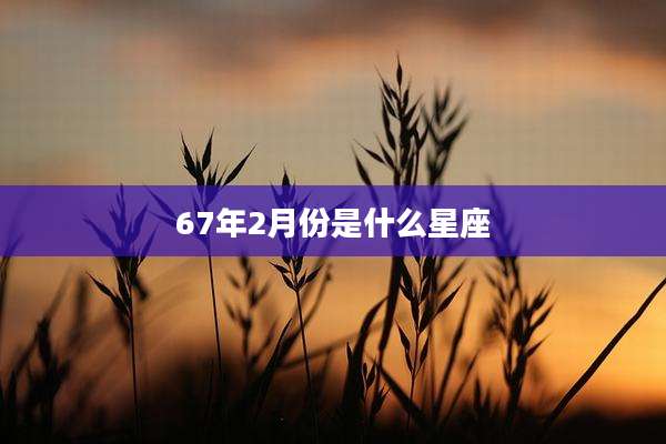 67年2月份是什么星座