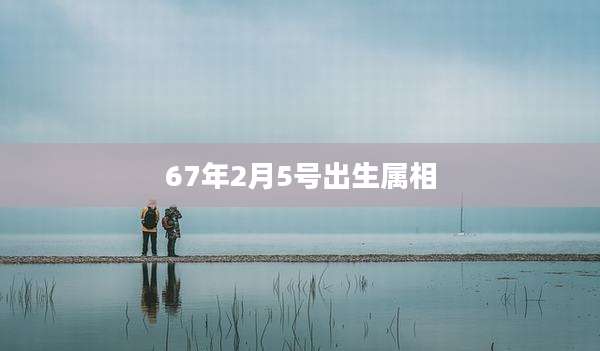 67年2月5号出生属相