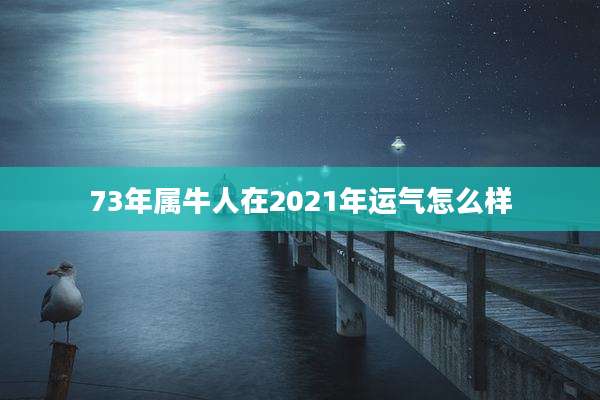 73年属牛人在2021年运气怎么样