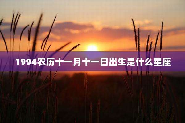1994农历十一月十一日出生是什么星座