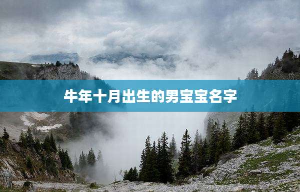 牛年十月出生的男宝宝名字