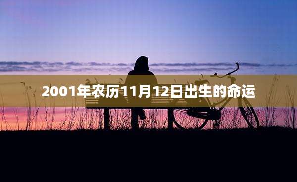 2001年农历11月12日出生的命运