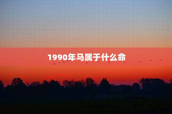 1990年马属于什么命