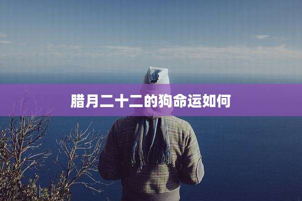 腊月二十二的狗命运如何