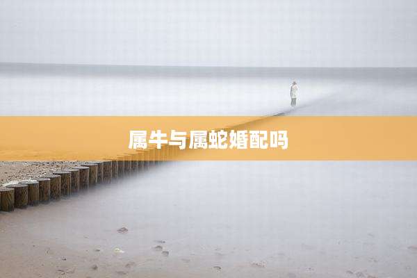 属牛与属蛇婚配吗