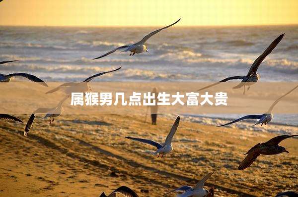 属猴男几点出生大富大贵