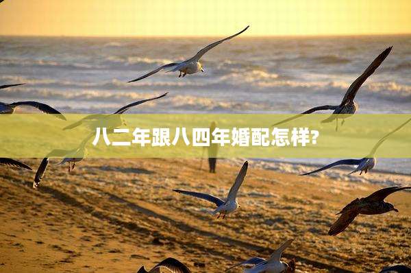 八二年跟八四年婚配怎样?