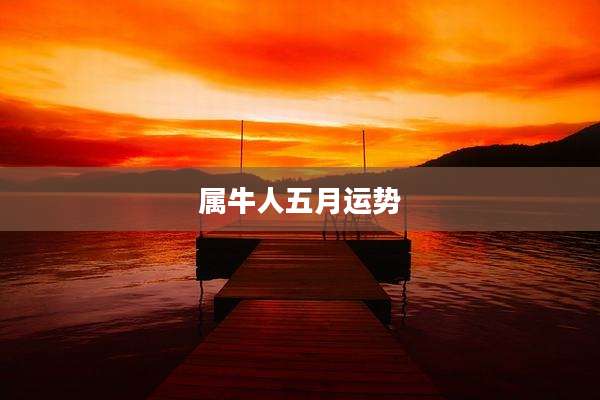 属牛人五月运势