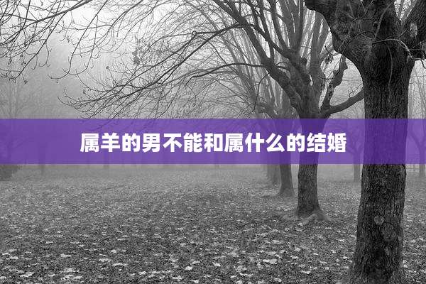 属羊的男不能和属什么的结婚
