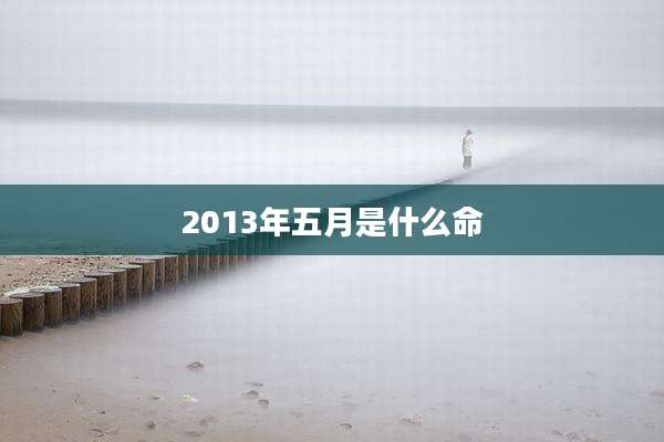 2013年五月是什么命