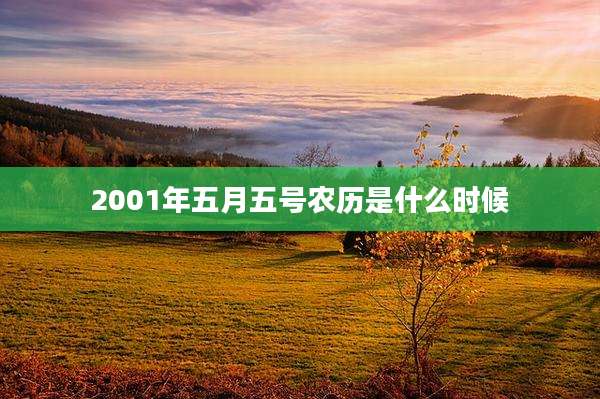 2001年五月五号农历是什么时候