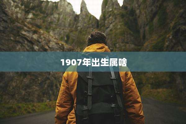 1907年出生属啥