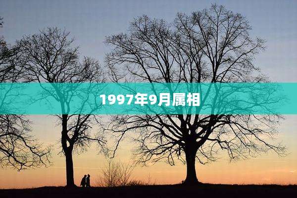 1997年9月属相