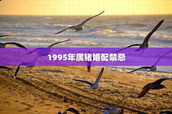 1995年属猪婚配禁忌