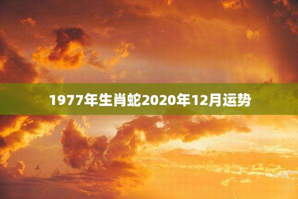 1977年生肖蛇2020年12月运势