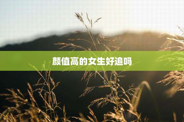 颜值高的女生好追吗