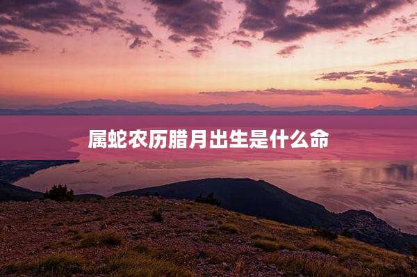 属蛇农历腊月出生是什么命