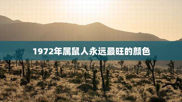 1972年属鼠人永远最旺的颜色