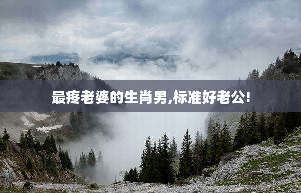 最疼老婆的生肖男,标准好老公!