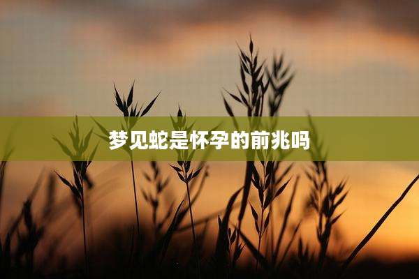 梦见蛇是怀孕的前兆吗