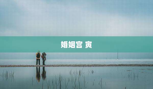 婚姻宫 寅