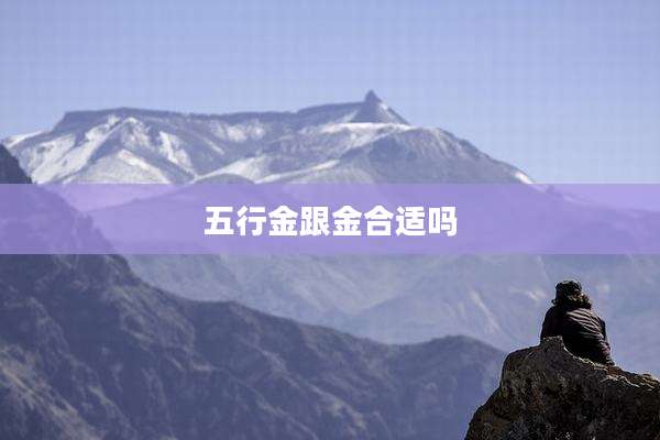 五行金跟金合适吗