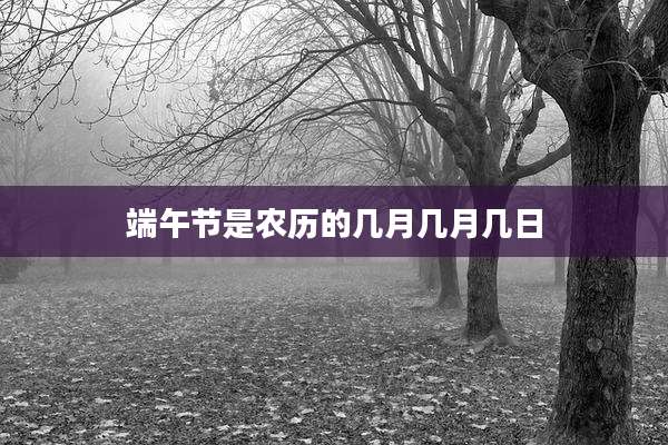 端午节是农历的几月几月几日
