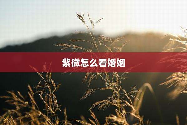 紫微怎么看婚姻