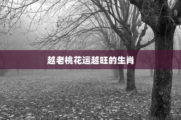 越老桃花运越旺的生肖