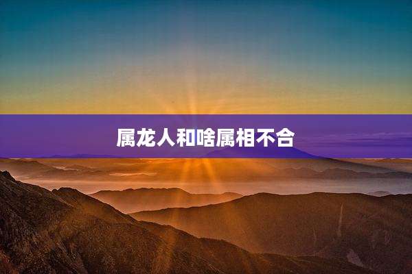 属龙人和啥属相不合