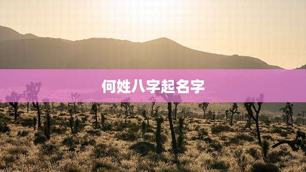 何姓八字起名字