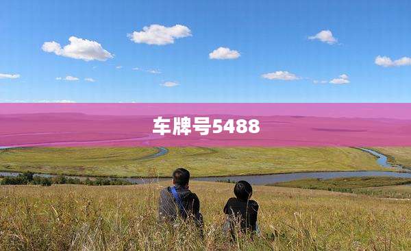 车牌号5488