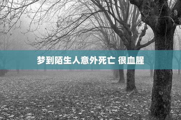 梦到陌生人意外死亡 很血腥