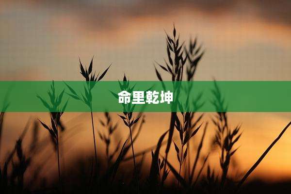 命里乾坤