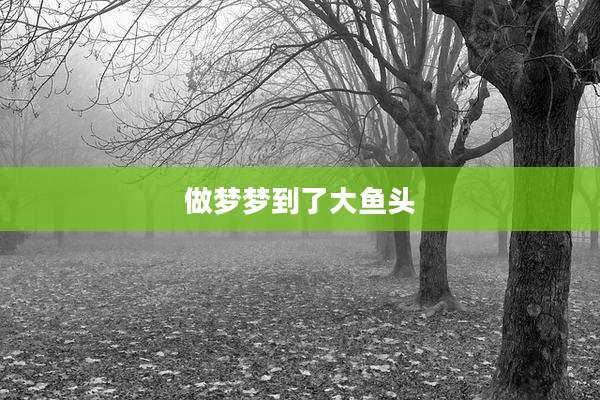 做梦梦到了大鱼头