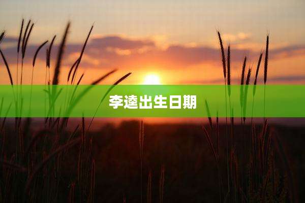 李逵出生日期