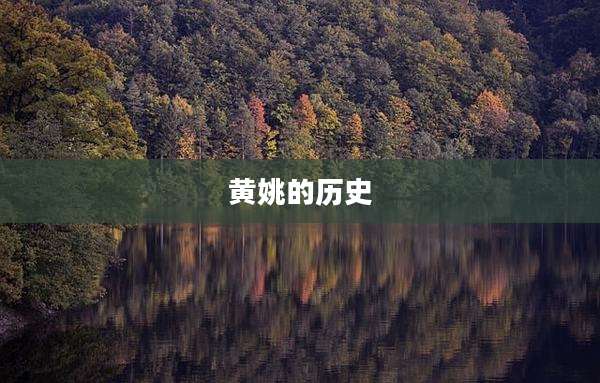 黄姚的历史