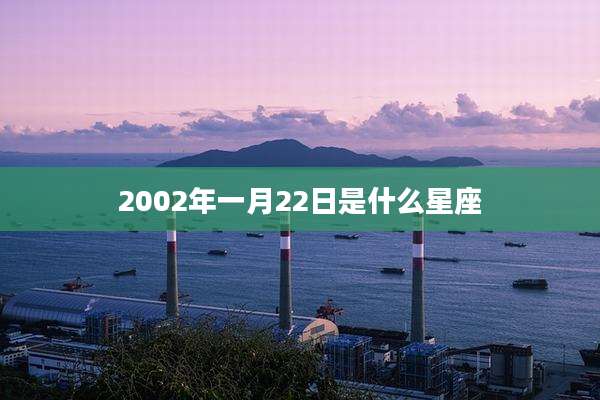 2002年一月22日是什么星座