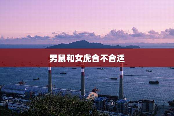 男鼠和女虎合不合适