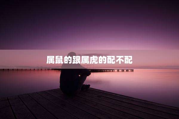 属鼠的跟属虎的配不配